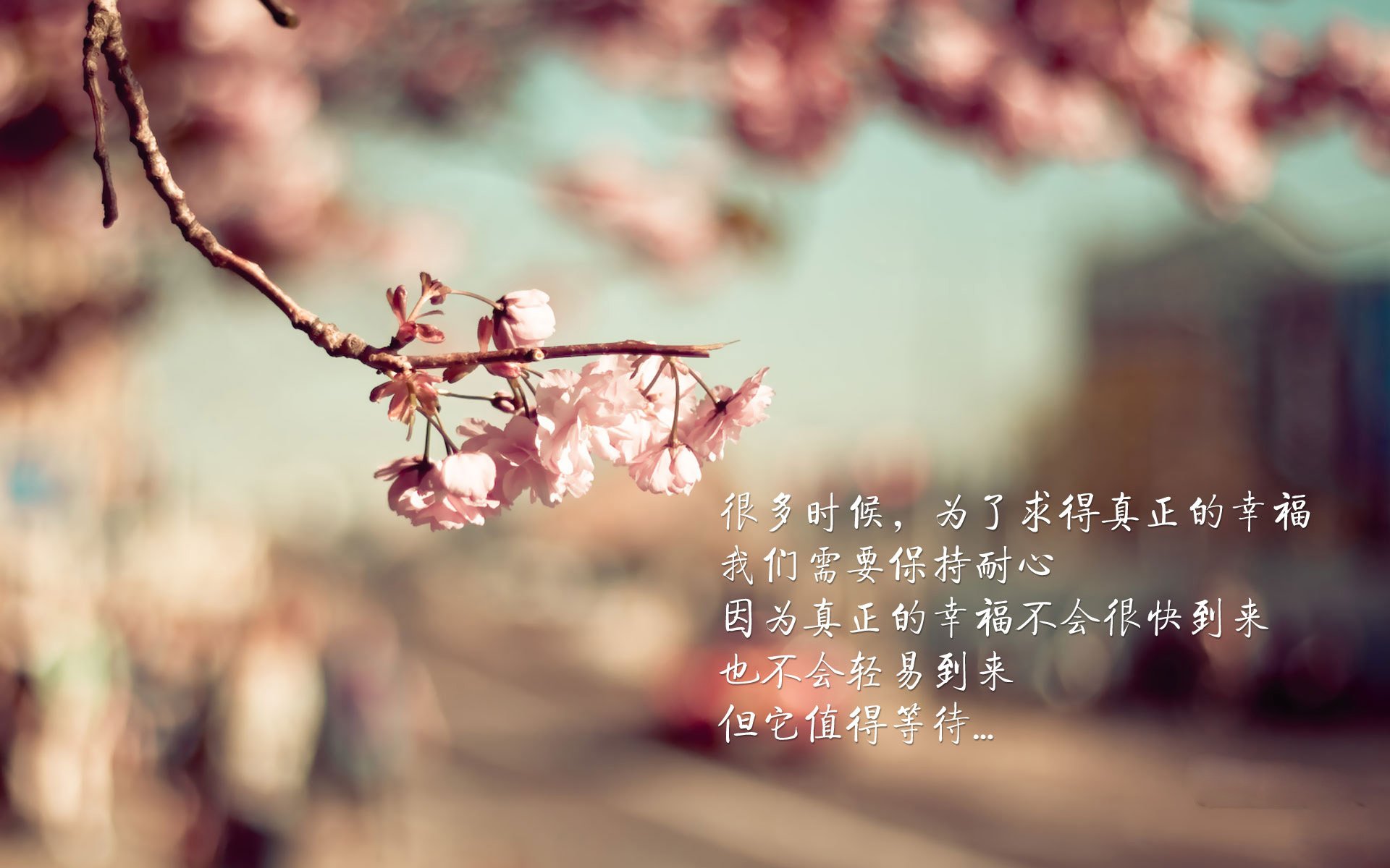 当东部决赛的硝烟弥漫绿茵场，皇家社会用足球智慧书写压制英格兰的方程式