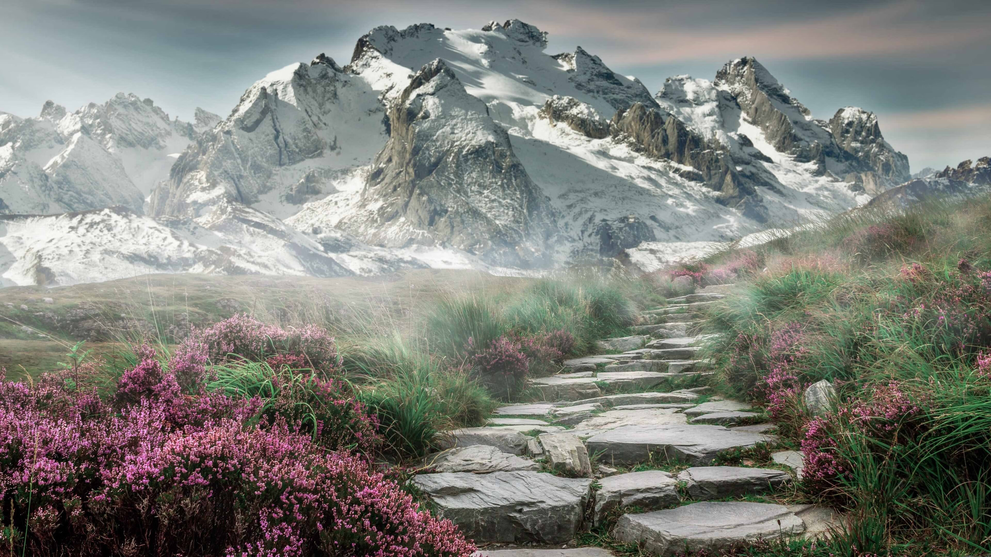 萨拉赫大场面先生，瑞士与奥地利对决的足球哲学启示