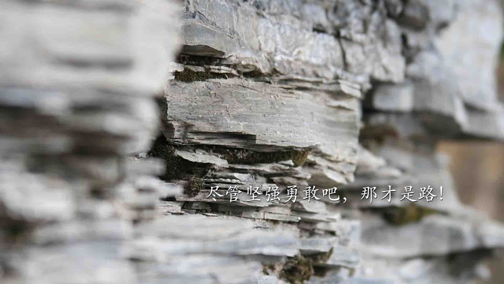 德里赫特爆发！巴萨式防守锁死哥斯达黎加，橙衣军团吹响争冠号角