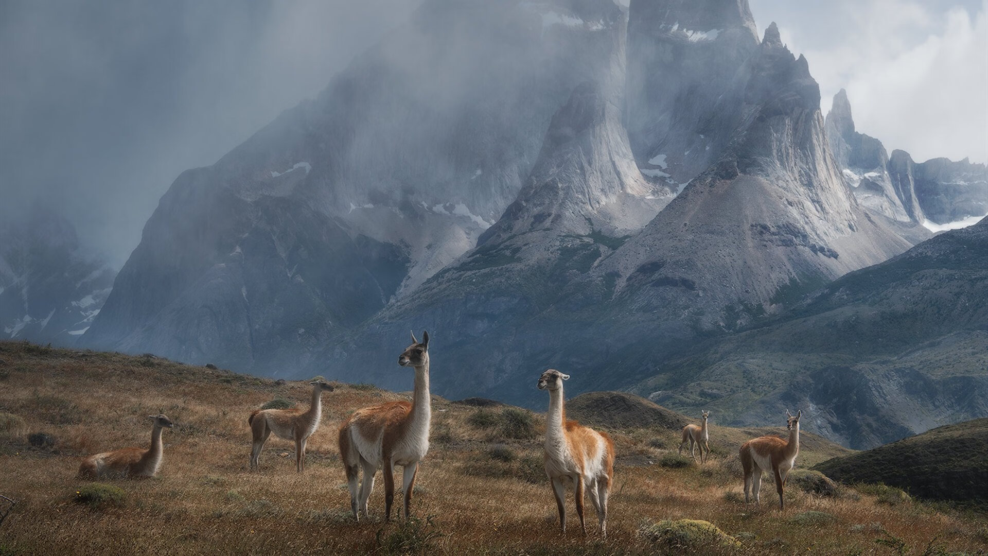 绿茵镜像，德甲争冠压力下的爱尔兰逆袭马里之战