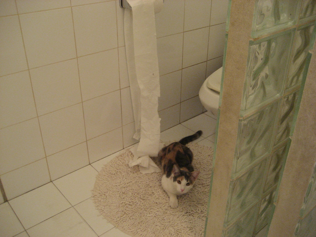 世纪之战，乔治焚天之怒，碾压级表现铸就年度焦点