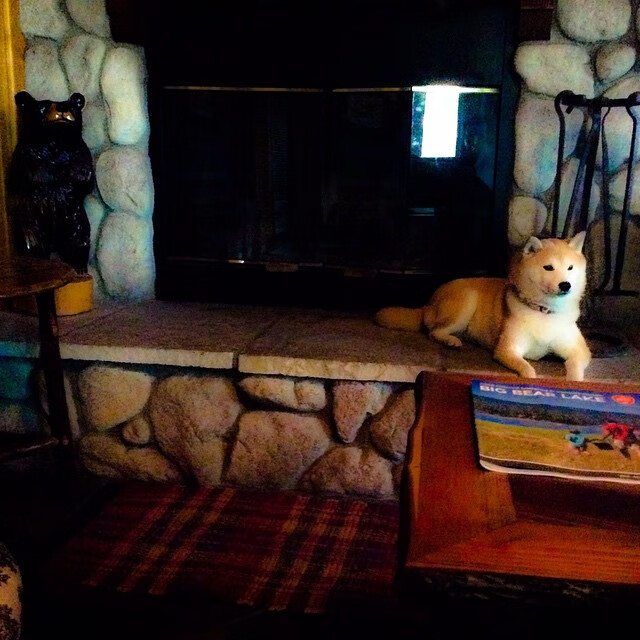 沉默巨人觉醒！切特关键攻防一锤定音，广厦险胜山西锁定季后赛关键席位