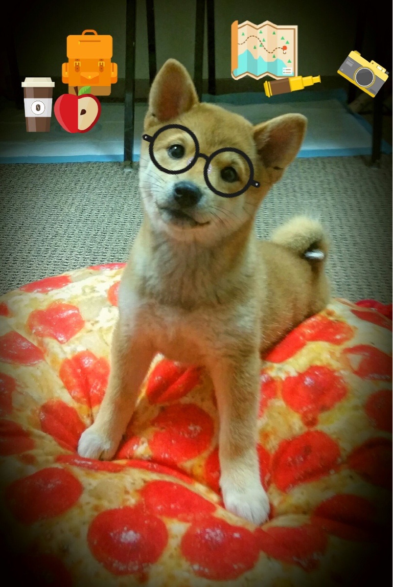 东契奇神技撕裂防线，尼克斯决胜局力克辽宁挺进四强