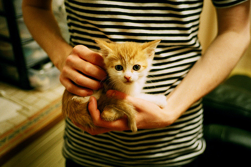 开云体育中国-箭雨与王座，库里燃爆世界排名争夺战之夜的硬仗王座崩塌