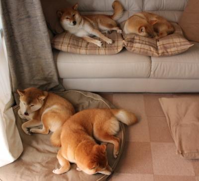 聚光灯下的血脉贲张,美加墨之夜,巴雷拉一球定乾坤