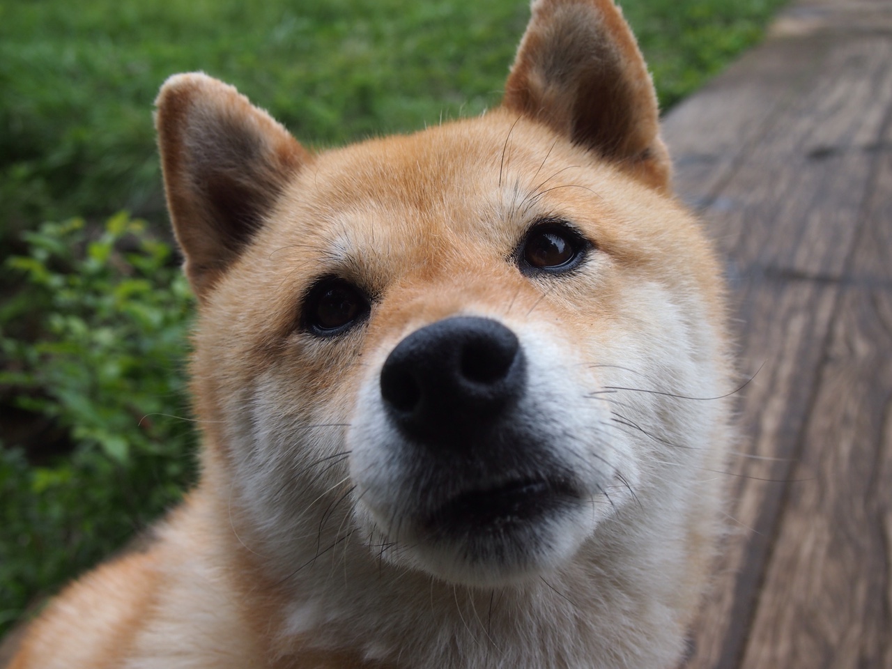 开云体育平台APP-绿茵棋局，一步封神，福登如何将年度焦点之战铸就为个人王冠之夜