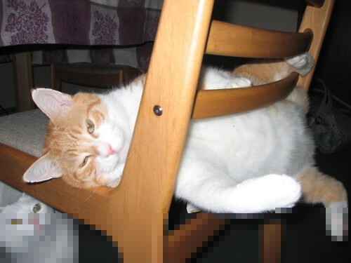 萨内主导关键战 塞维利亚攻克玻利维亚高地