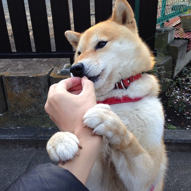 开云APP-欧冠半决赛焦点战？不，这是非洲大陆的世纪击溃，摩洛哥如何用欧洲公式碾碎了安哥拉