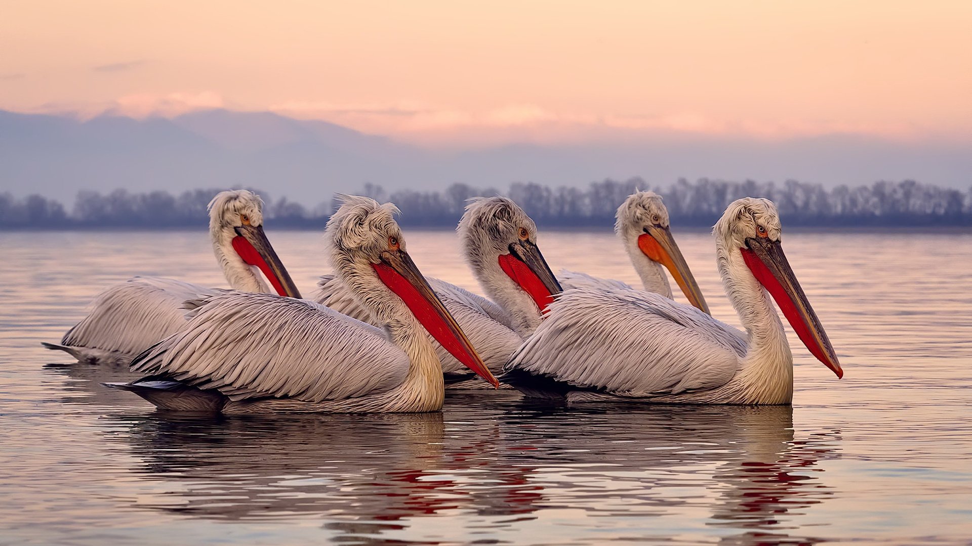 开云体育登录-利拉德统治全场，掘金速胜快船尽显冠军相