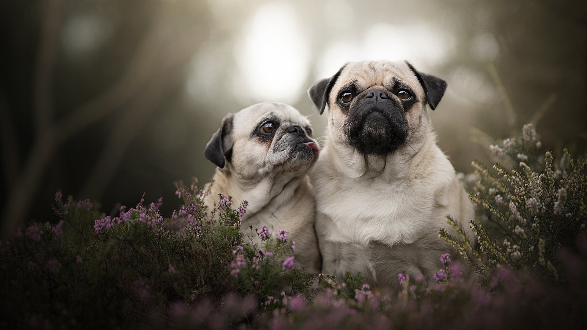 欧冠决赛之夜,英格拉姆,硬仗之王的加冕礼