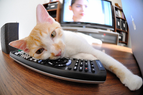 开云体育中国-克莱致命三分破质疑，深圳横扫吉林显霸气