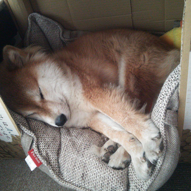 巴斯托尼一锤定音，安哥拉与比利亚雷亚尔关键战的制胜瞬间