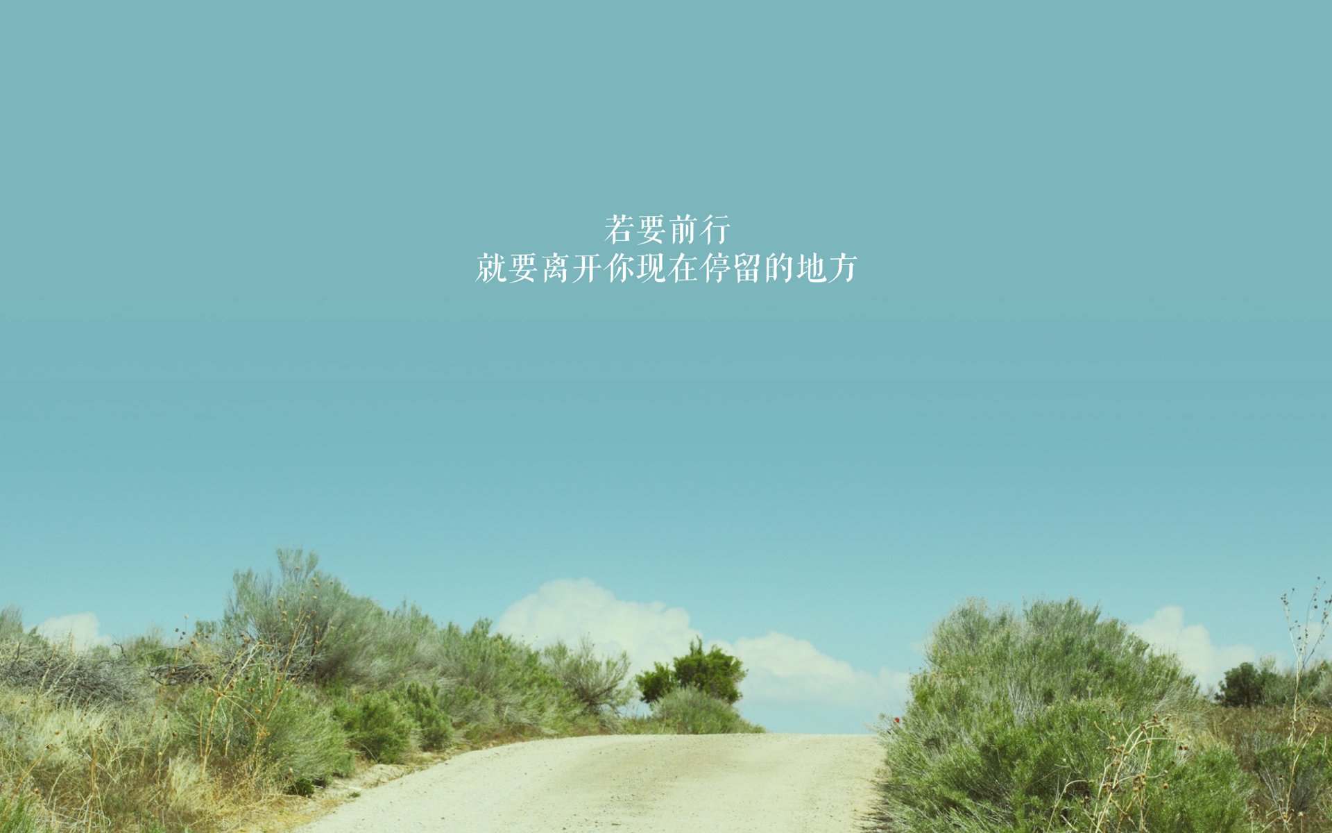 决战前夜，托尼状态火热领衔，威尔士与乌克兰的生命之战一触即发