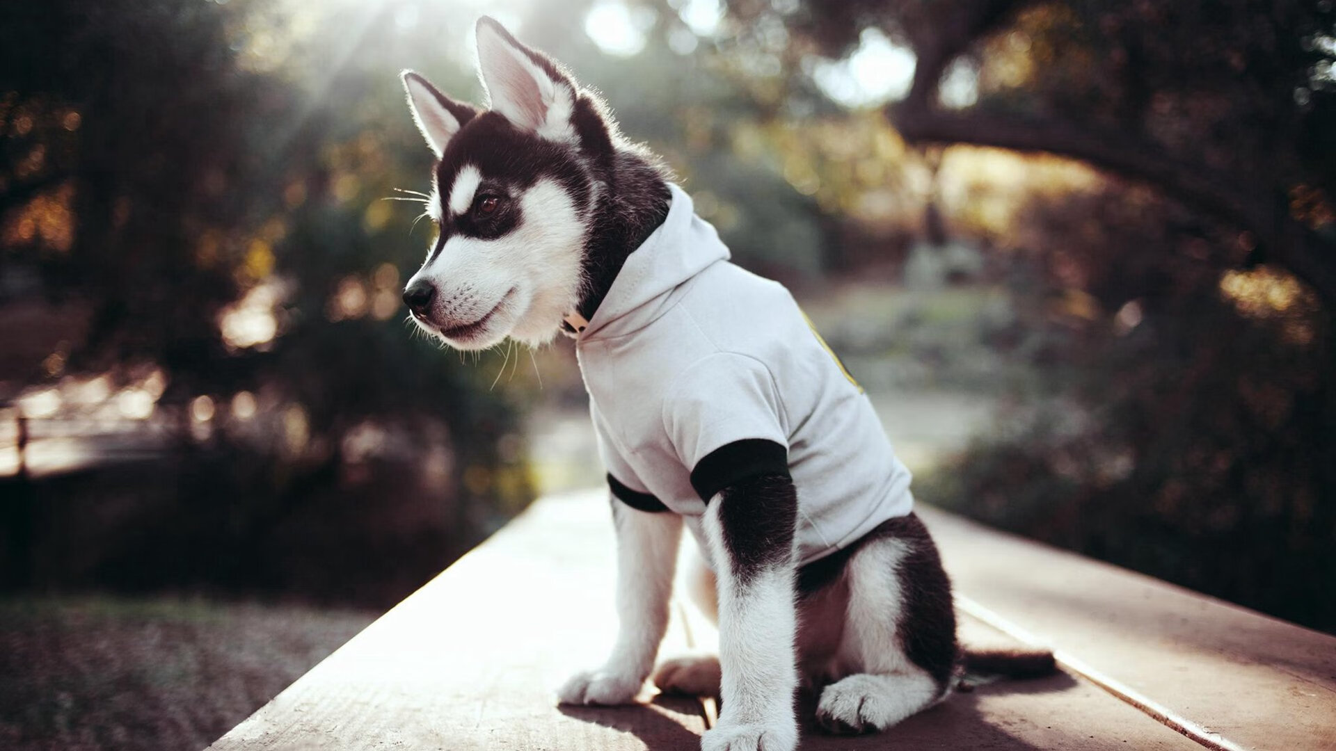 开云体育中国-从单节崩盘到关键救赎，切特·霍姆格伦如何导演逆转传奇