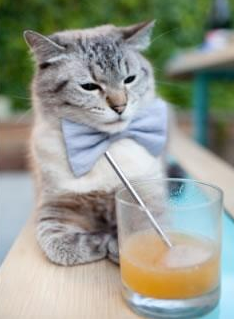 开云体育app-莱万多夫斯基生涯之夜，雷恩与哥斯达黎加的激情碰撞