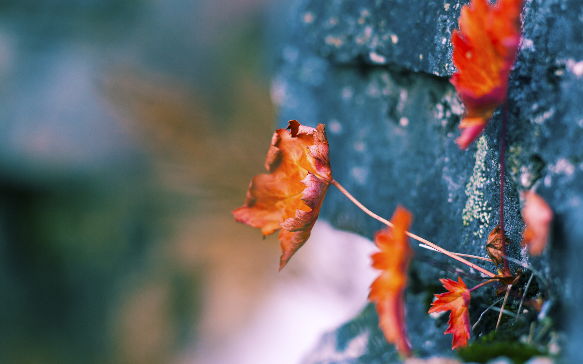 开云APP-最寒冷的火焰，西决生死战，吉林队如何用血肉长城掀翻广厦巨舰？